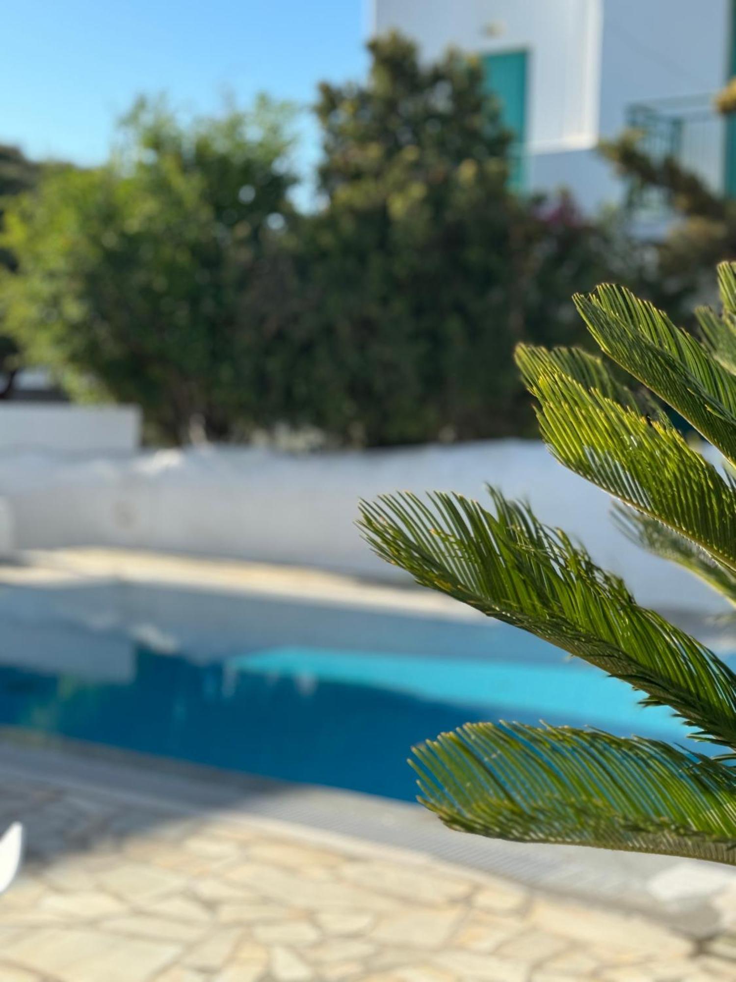 Enso Mykonos Living Mykonos Town